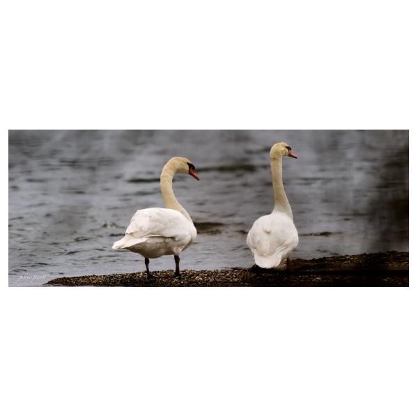 PHOTO84, CLUB, 84 , LUBERON